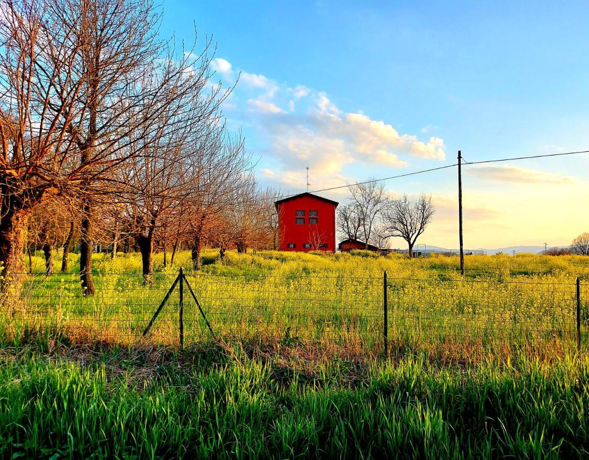 Agriturismo Azienda Agricola Ferrari M.Rita Pozza Bagian luar foto