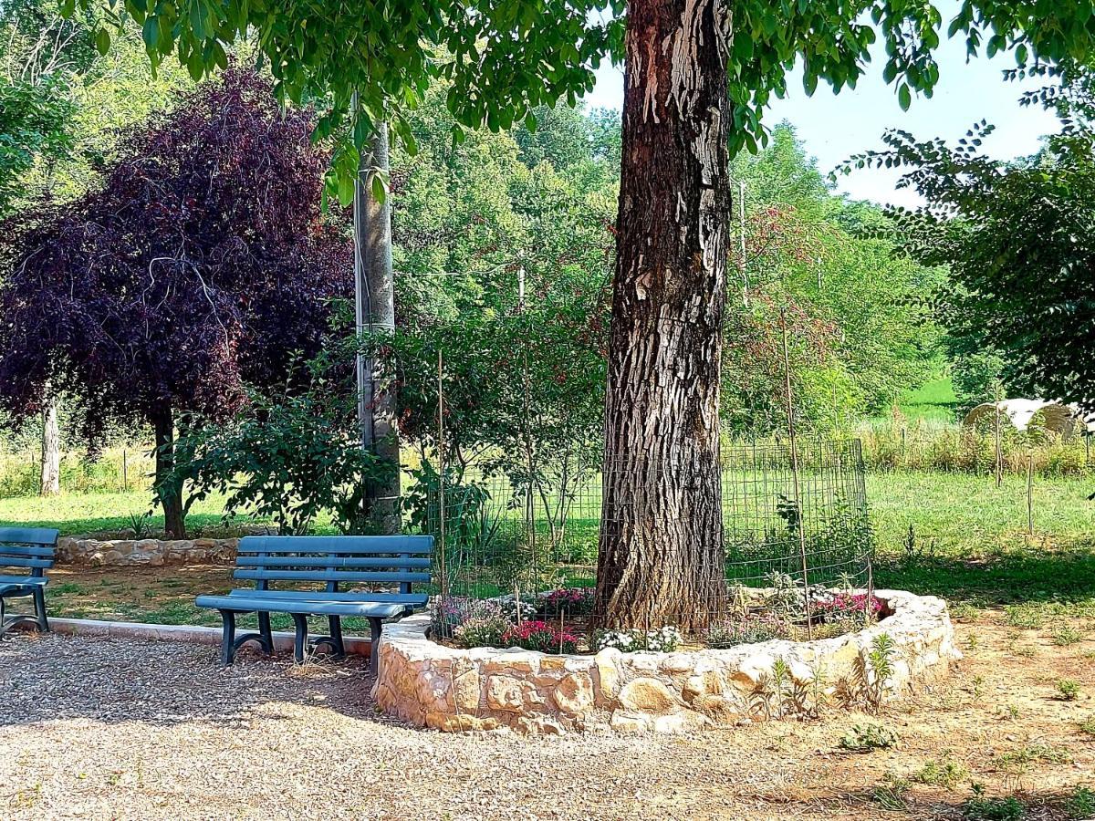 Agriturismo Azienda Agricola Ferrari M.Rita Pozza Bagian luar foto